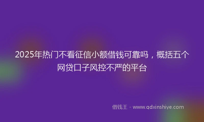 2025年热门不看征信小额借钱可靠吗，概括五个网贷口子风控不严的平台