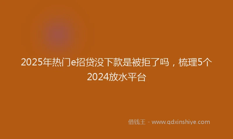 2025年热门e招贷没下款是被拒了吗，梳理5个2024放水平台
