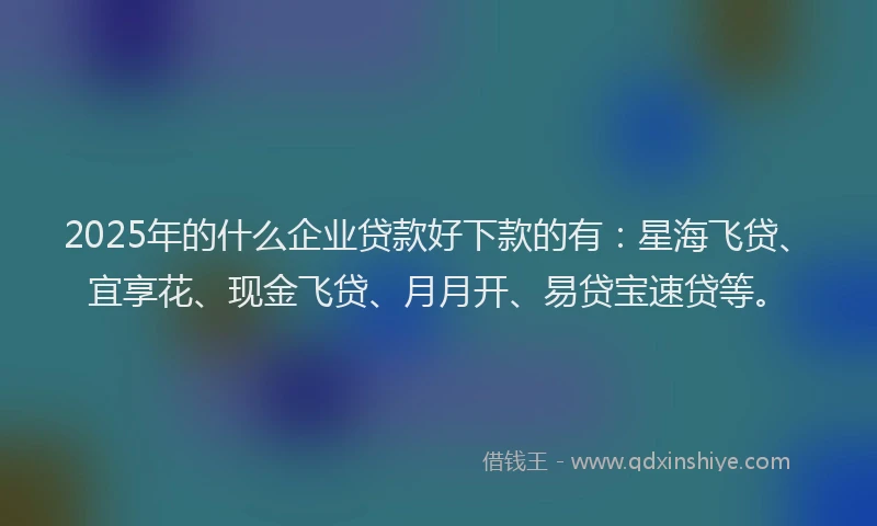 2025年的什么企业贷款好下款的有：星海飞贷、宜享花、现金飞贷、月月开、易贷宝速贷等。
