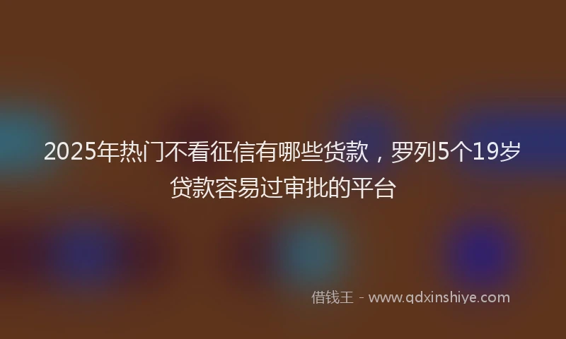 2025年热门不看征信有哪些货款，罗列5个19岁贷款容易过审批的平台