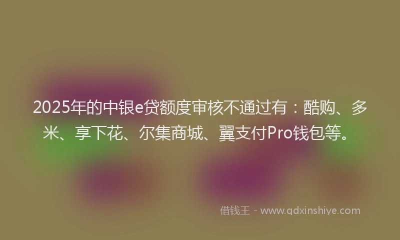 2025年的中银e贷额度审核不通过有：酷购、多米、享下花、尔集商城、翼支付Pro钱包等。