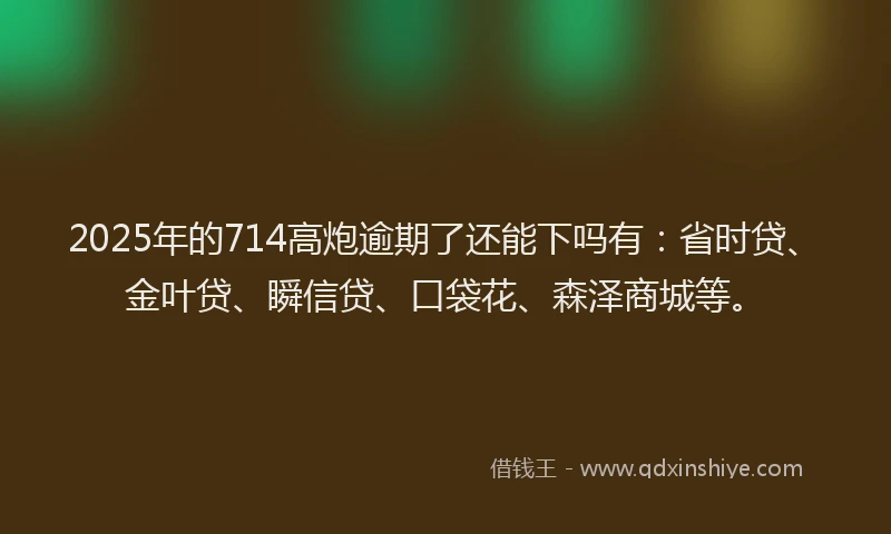 2025年的714高炮逾期了还能下吗有：省时贷、金叶贷、瞬信贷、口袋花、森泽商城等。