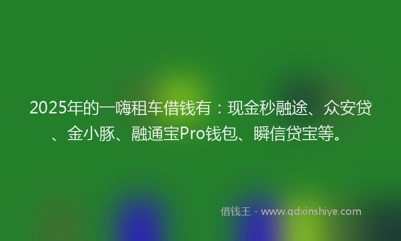 2025年的一嗨租车借钱有：现金秒融途、众安贷、金小豚、融通宝Pro钱包、瞬信贷宝等。