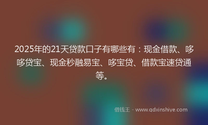 2025年的21天贷款口子有哪些有：现金借款、哆哆贷宝、现金秒融易宝、哆宝贷、借款宝速贷通等。