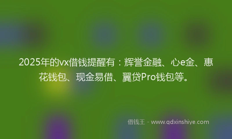 2025年的vx借钱提醒有：辉誉金融、心e金、惠花钱包、现金易借、翼贷Pro钱包等。