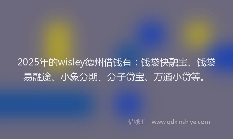 2025年的wisley德州借钱有：钱袋快融宝、钱袋易融途、小象分期、分子贷宝、万通小贷等。