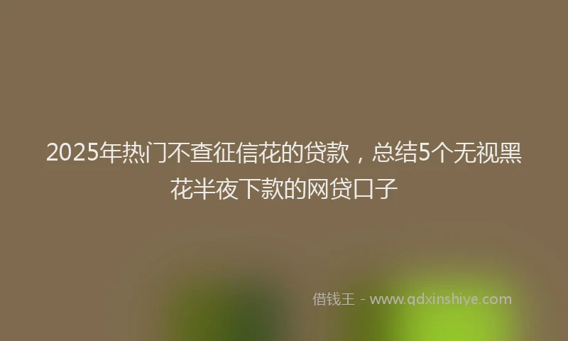 2025年热门不查征信花的贷款，总结5个无视黑花半夜下款的网贷口子