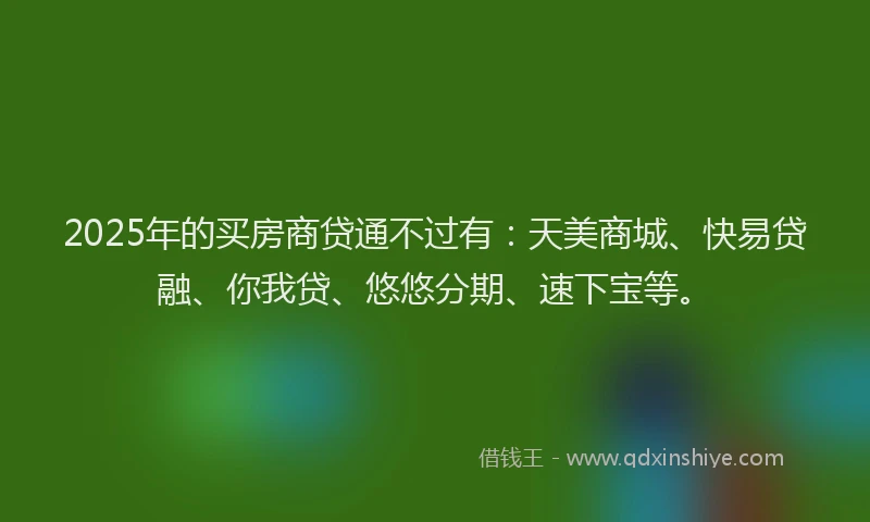 2025年的买房商贷通不过有：天美商城、快易贷融、你我贷、悠悠分期、速下宝等。