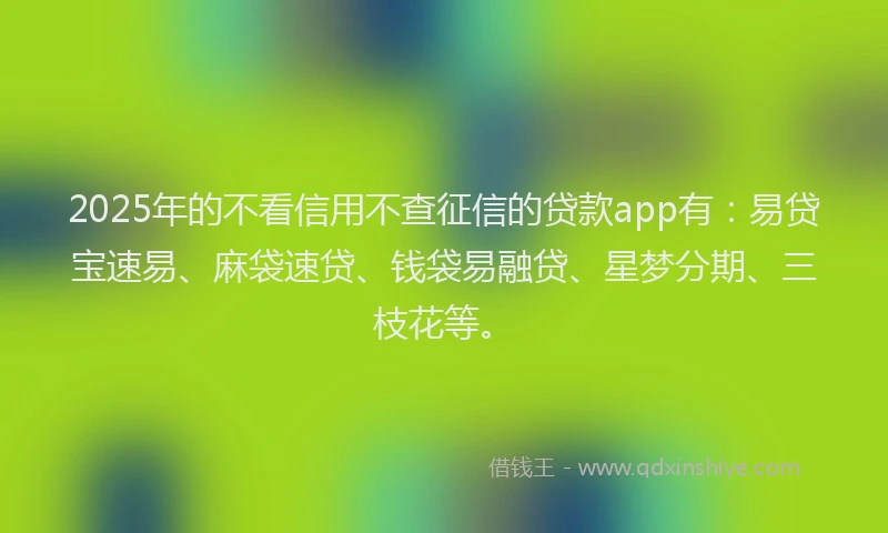 2025年的不看信用不查征信的贷款app有：易贷宝速易、麻袋速贷、钱袋易融贷、星梦分期、三枝花等。