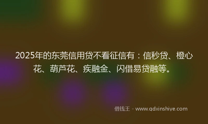 2025年的东莞信用贷不看征信有：信秒贷、橙心花、葫芦花、疾融金、闪借易贷融等。