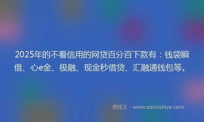 2025年的不看信用的网贷百分百下款有：钱袋瞬借、心e金、极融、现金秒借贷、汇融通钱包等。