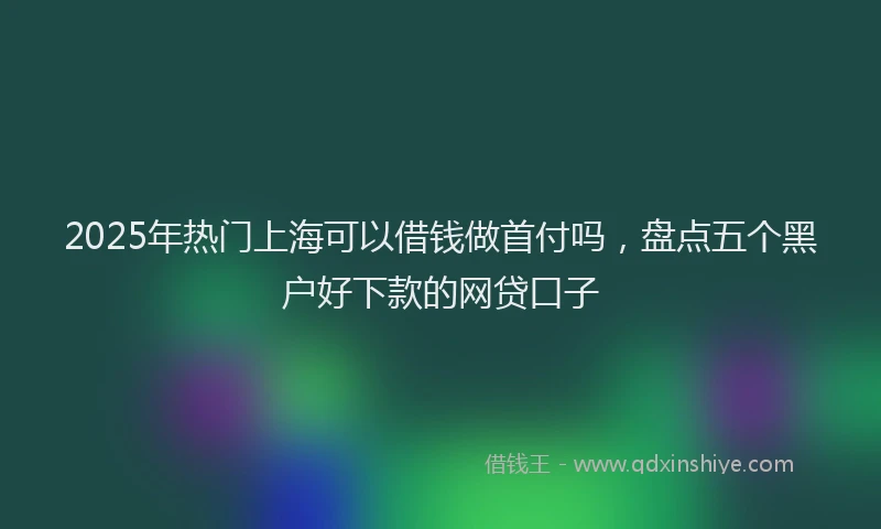 2025年热门上海可以借钱做首付吗，盘点五个黑户好下款的网贷口子