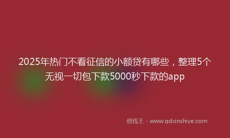 2025年热门不看征信的小额贷有哪些，整理5个无视一切包下款5000秒下款的app