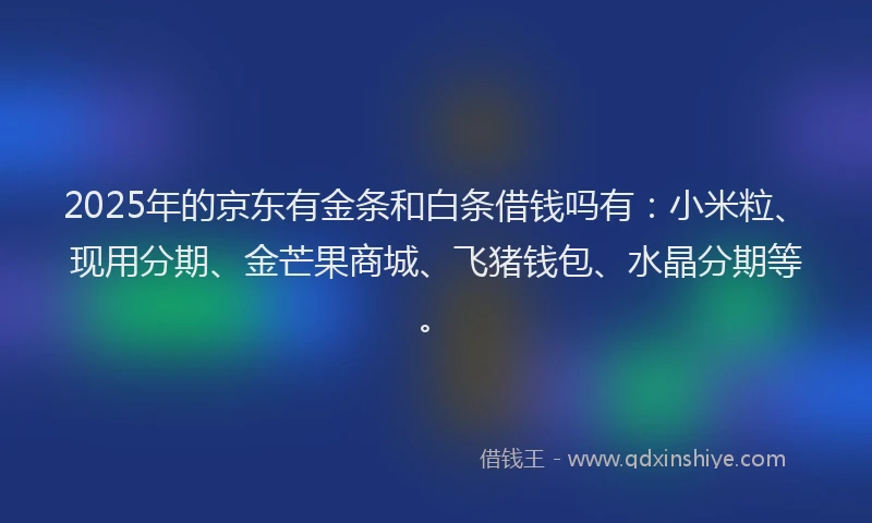 2025年的京东有金条和白条借钱吗有：小米粒、现用分期、金芒果商城、飞猪钱包、水晶分期等。