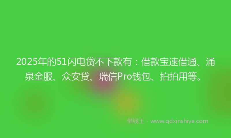 2025年的51闪电贷不下款有：借款宝速借通、涌泉金服、众安贷、瑞信Pro钱包、拍拍用等。