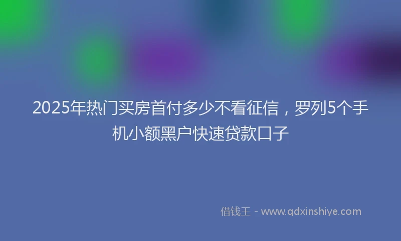2025年热门买房首付多少不看征信，罗列5个手机小额黑户快速贷款口子