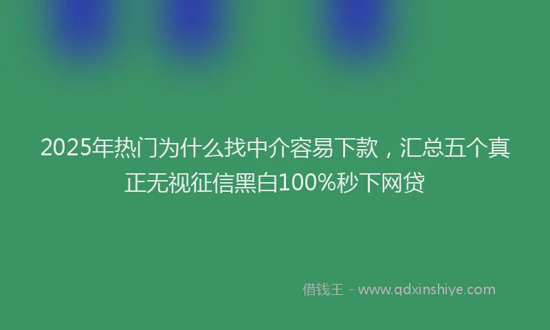 2025年热门为什么找中介容易下款，汇总五个真正无视征信黑白100%秒下网贷