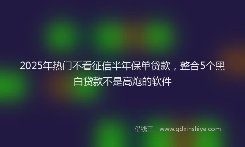 2025年热门不看征信半年保单贷款，整合5个黑白贷款不是高炮的软件