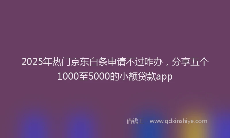2025年热门京东白条申请不过咋办，分享五个1000至5000的小额贷款app