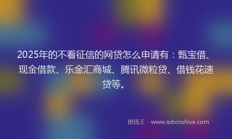 2025年的不看征信的网贷怎么申请有：甄宝借、现金借款、乐金汇商城、腾讯微粒贷、借钱花速贷等。