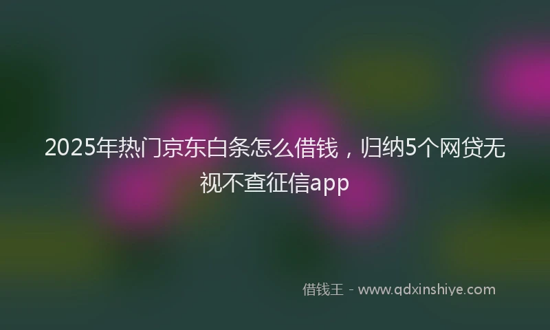 2025年热门京东白条怎么借钱，归纳5个网贷无视不查征信app