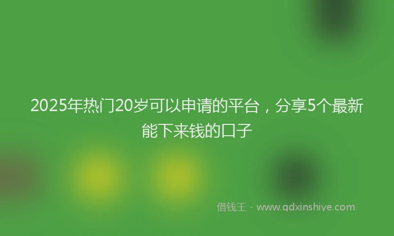 2025年热门20岁可以申请的平台，分享5个最新能下来钱的口子