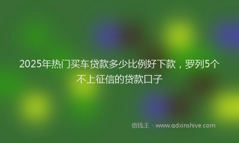2025年热门买车贷款多少比例好下款，罗列5个不上征信的贷款口子