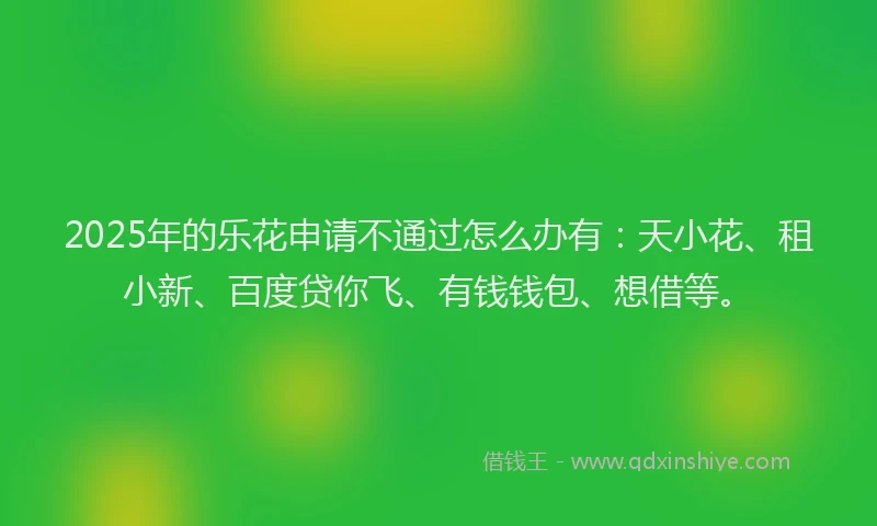 2025年的乐花申请不通过怎么办有：天小花、租小新、百度贷你飞、有钱钱包、想借等。