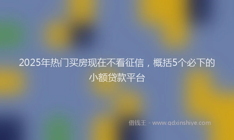2025年热门买房现在不看征信，概括5个必下的小额贷款平台