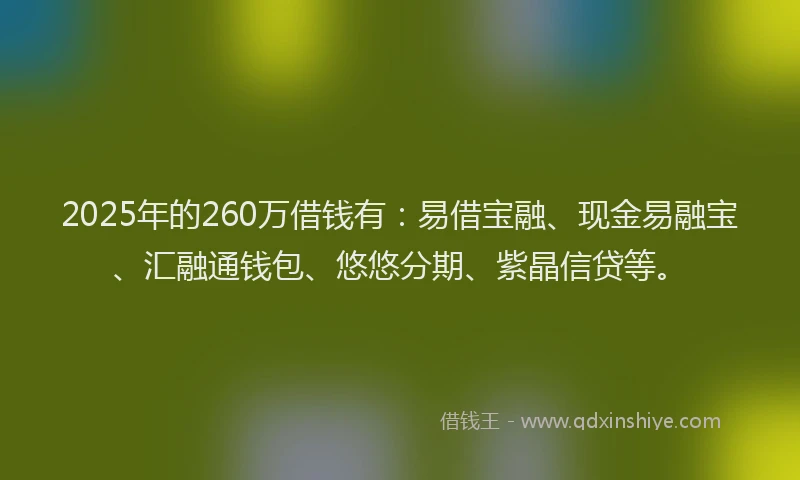2025年的260万借钱有：易借宝融、现金易融宝、汇融通钱包、悠悠分期、紫晶信贷等。
