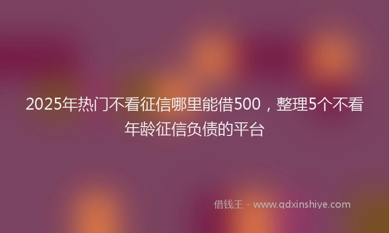 2025年热门不看征信哪里能借500，整理5个不看年龄征信负债的平台