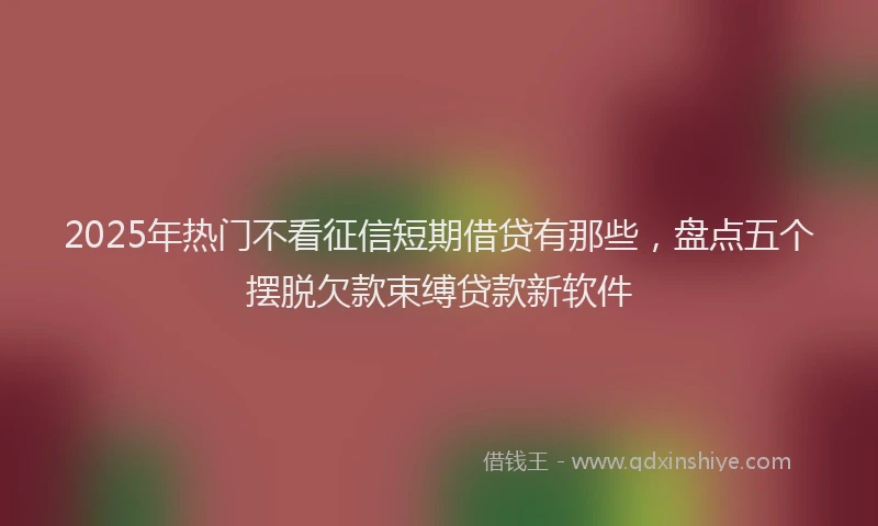 2025年热门不看征信短期借贷有那些，盘点五个摆脱欠款束缚贷款新软件