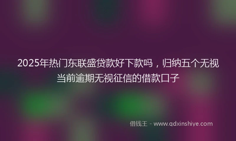 2025年热门东联盛贷款好下款吗，归纳五个无视当前逾期无视征信的借款口子