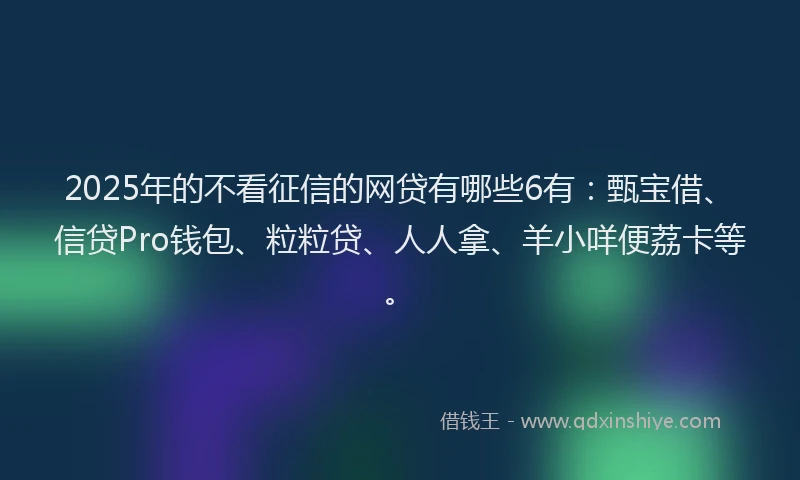 2025年的不看征信的网贷有哪些6有：甄宝借、信贷Pro钱包、粒粒贷、人人拿、羊小咩便荔卡等。