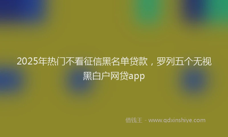 2025年热门不看征信黑名单贷款，罗列五个无视黑白户网贷app