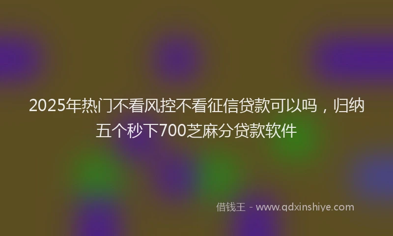 2025年热门不看风控不看征信贷款可以吗，归纳五个秒下700芝麻分贷款软件