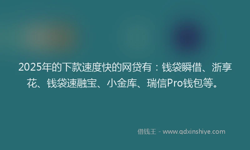 2025年的下款速度快的网贷有：钱袋瞬借、浙享花、钱袋速融宝、小金库、瑞信Pro钱包等。