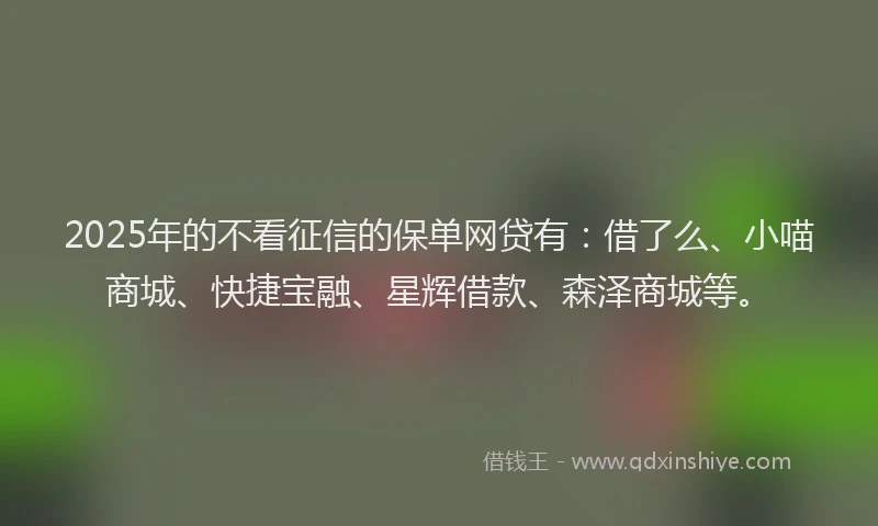 2025年的不看征信的保单网贷有：借了么、小喵商城、快捷宝融、星辉借款、森泽商城等。