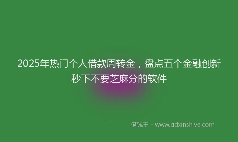 2025年热门个人借款周转金，盘点五个金融创新秒下不要芝麻分的软件