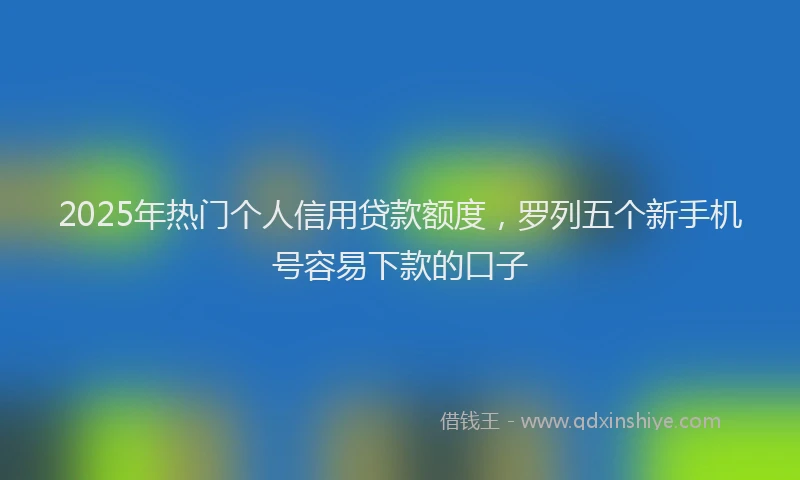 2025年热门个人信用贷款额度，罗列五个新手机号容易下款的口子