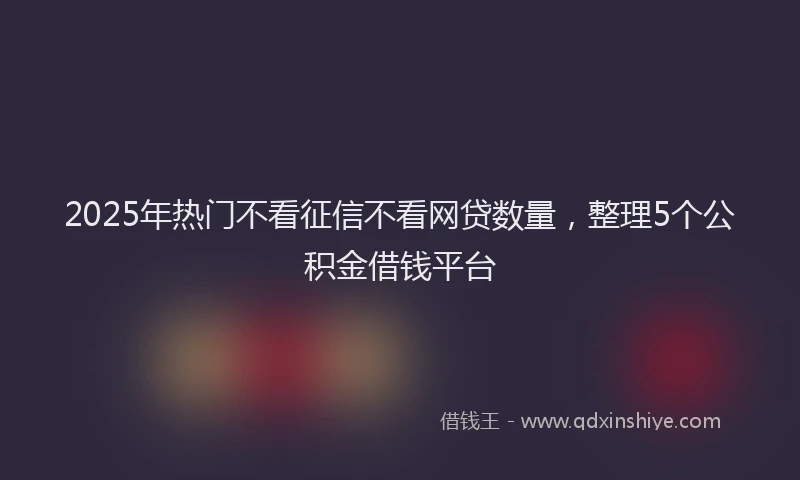 2025年热门不看征信不看网贷数量，整理5个公积金借钱平台