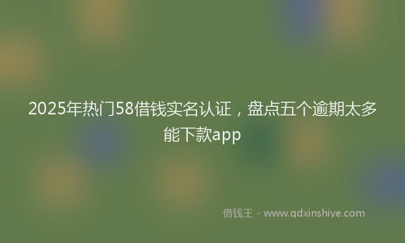2025年热门58借钱实名认证，盘点五个逾期太多能下款app
