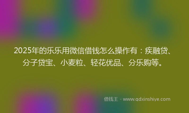 2025年的乐乐用微信借钱怎么操作有：疾融贷、分子贷宝、小麦粒、轻花优品、分乐购等。