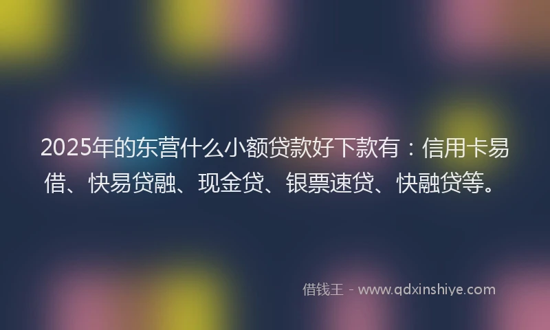 2025年的东营什么小额贷款好下款有：信用卡易借、快易贷融、现金贷、银票速贷、快融贷等。