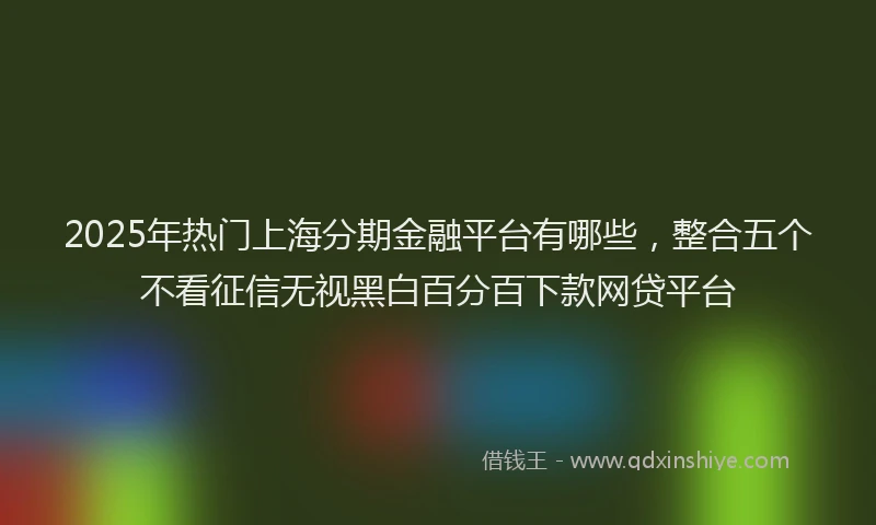 2025年热门上海分期金融平台有哪些，整合五个不看征信无视黑白百分百下款网贷平台