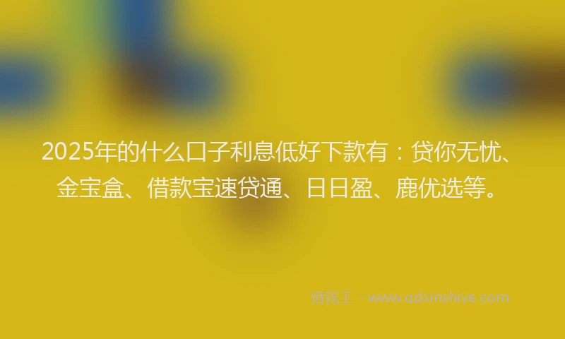 2025年的什么口子利息低好下款有：贷你无忧、金宝盒、借款宝速贷通、日日盈、鹿优选等。