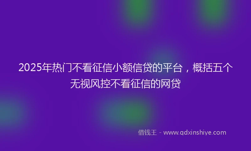 2025年热门不看征信小额信贷的平台，概括五个无视风控不看征信的网贷