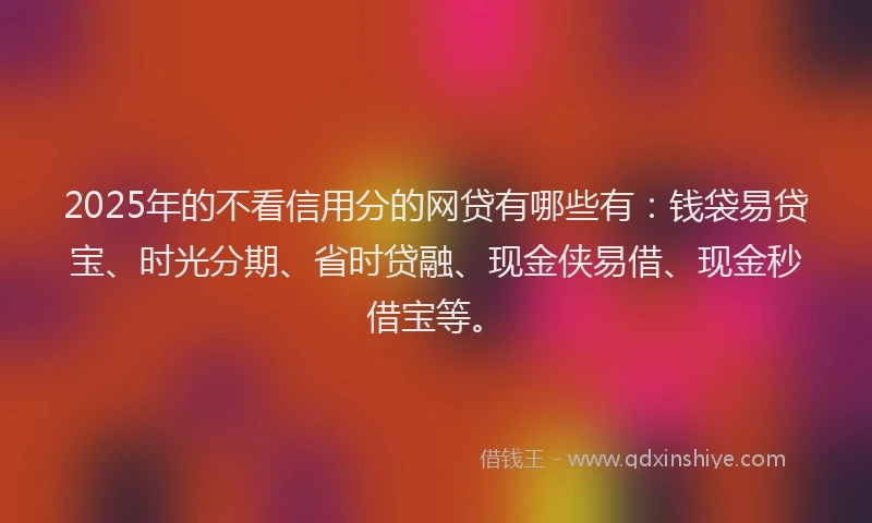 2025年的不看信用分的网贷有哪些有：钱袋易贷宝、时光分期、省时贷融、现金侠易借、现金秒借宝等。