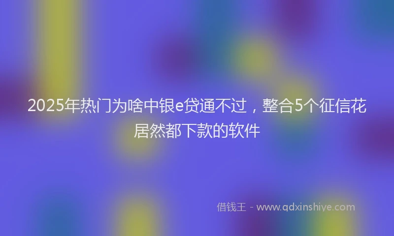 2025年热门为啥中银e贷通不过，整合5个征信花居然都下款的软件