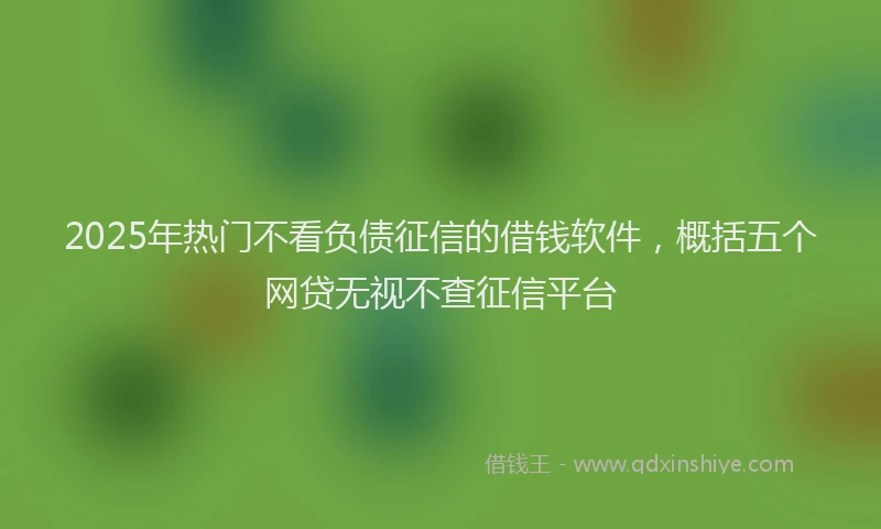 2025年热门不看负债征信的借钱软件，概括五个网贷无视不查征信平台